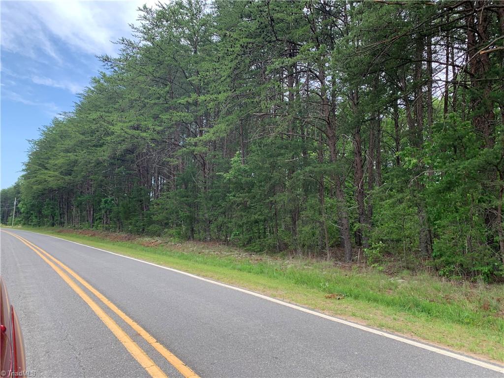 2413 Ralph Joyce Road Sandy Ridge, NC 27046 - Photo 1 of 22 Road frontage Buffalo Road