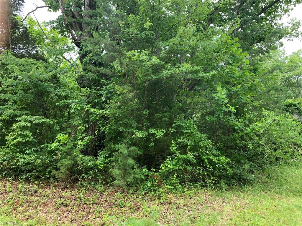 2413 Ralph Joyce Road Sandy Ridge, NC 27046 - Photo 12 of 22