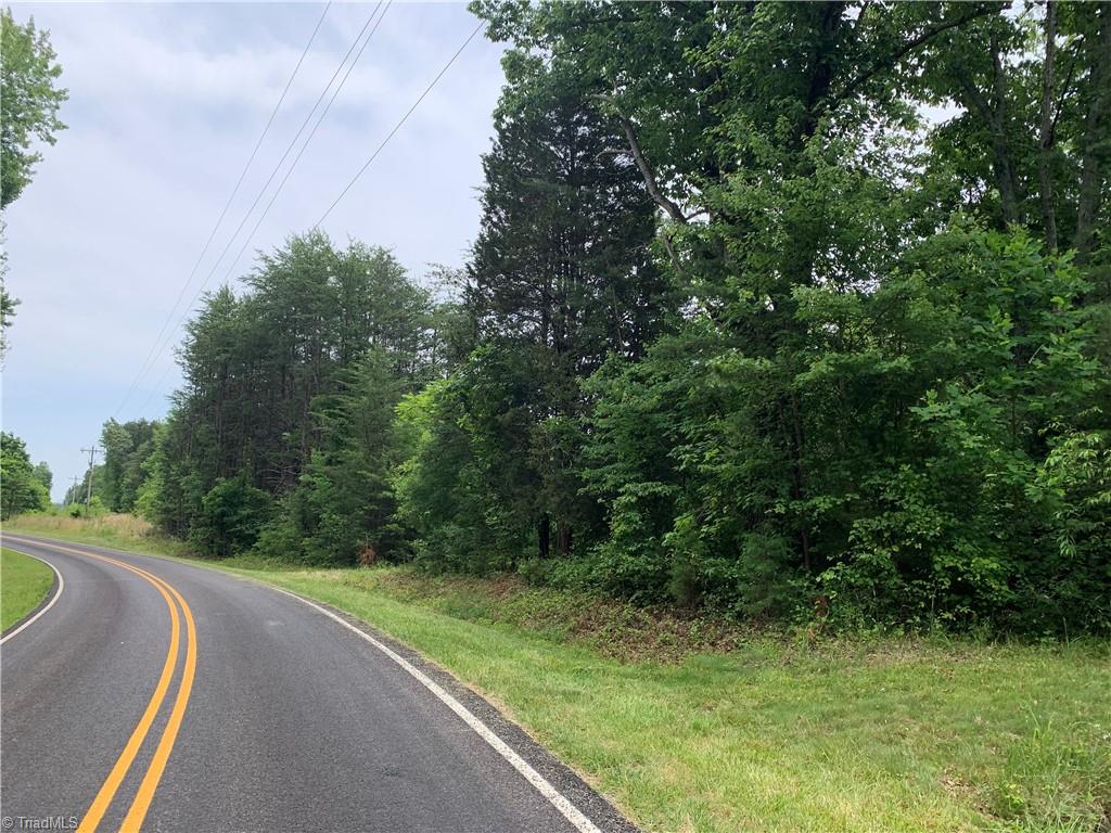 2413 Ralph Joyce Road Sandy Ridge, NC 27046 - Photo 13 of 22 Road frontage on Ralph Joyce Rd