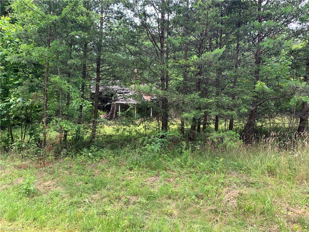 2413 Ralph Joyce Road Sandy Ridge, NC 27046 - Photo 14 of 22 Old homeplace on Ralph Joyce Rd