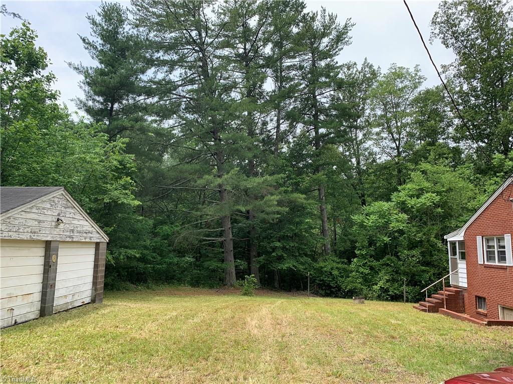 2413 Ralph Joyce Road Sandy Ridge, NC 27046 - Photo 17 of 22 Woods behind 2449 Ralph Joyce Rd