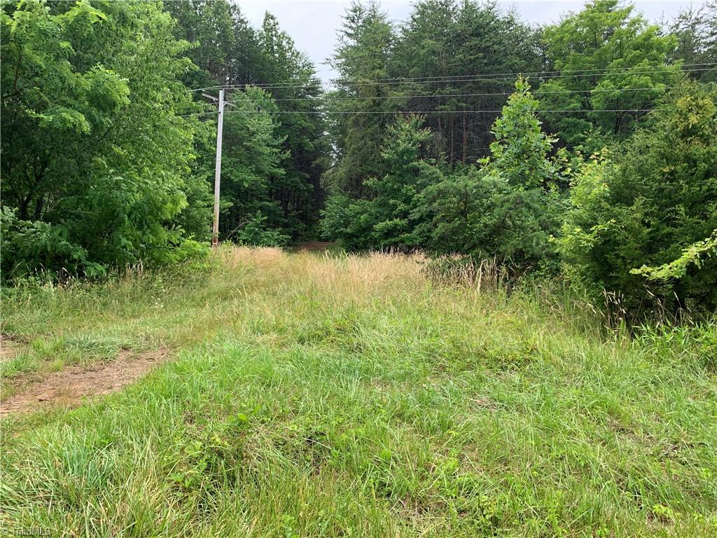2413 Ralph Joyce Road Sandy Ridge, NC 27046 - Photo 8 of 22 Roadbed that extends through lower part of property and ends at 1075 Sleepy Hollow residence