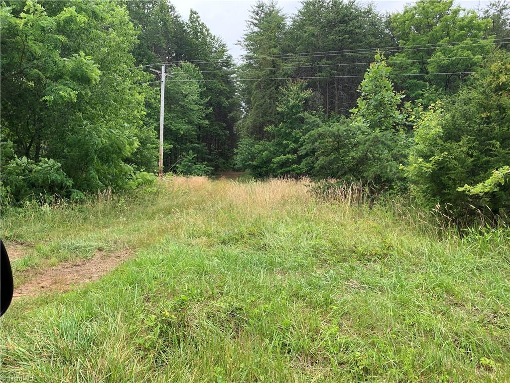 2413 Ralph Joyce Road Sandy Ridge, NC 27046 - Photo 9 of 22 Roadbed that runs through lower part of tract. Ends at 1075 Sleepy Hollow residence.