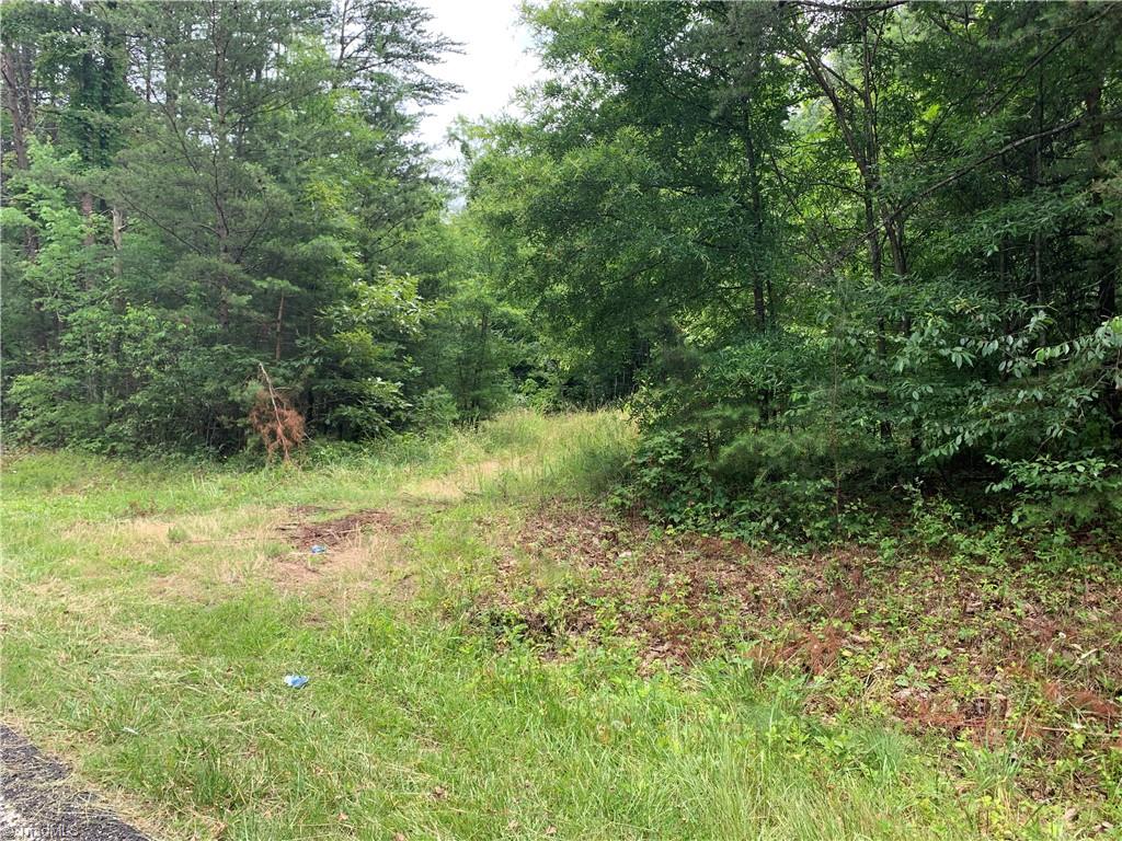 2413 Ralph Joyce Road Sandy Ridge, NC 27046 - Photo 10 of 22 Road through property