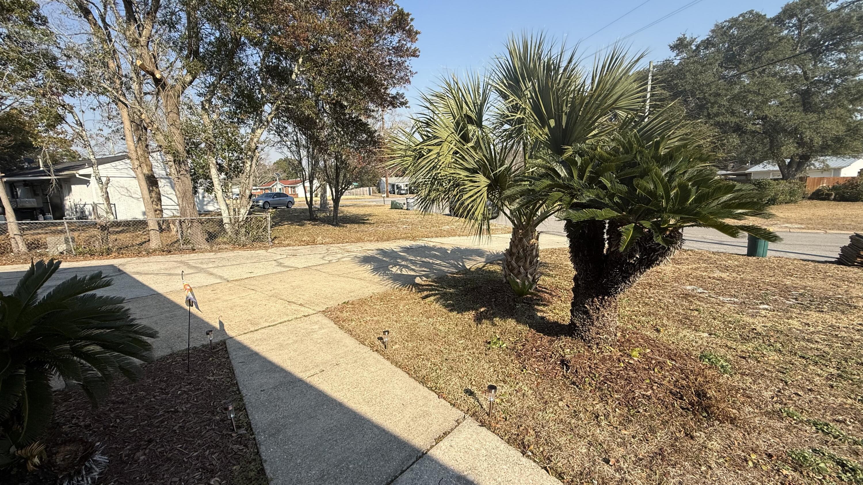 238 Martisa Road Northwest Fort Walton Beach, FL 32548 - Photo 5 of 48 a view of street with trees