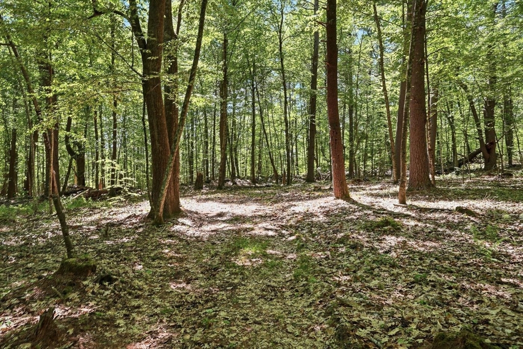 0 Carter Pond Road Petersham, MA 01366 - Photo 15 of 18