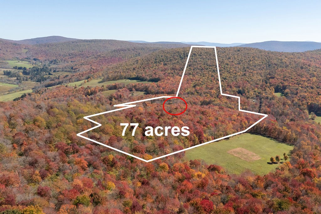 3199 Coulter Brook Road Bovina, NY 13740 - Photo 11 of 50