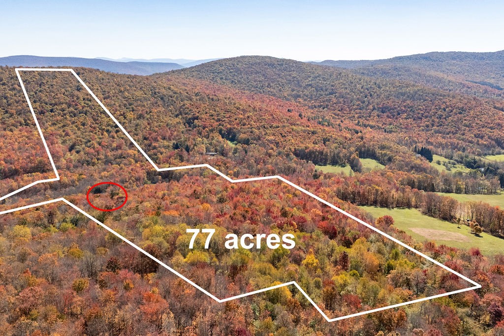 3199 Coulter Brook Road Bovina, NY 13740 - Photo 12 of 50