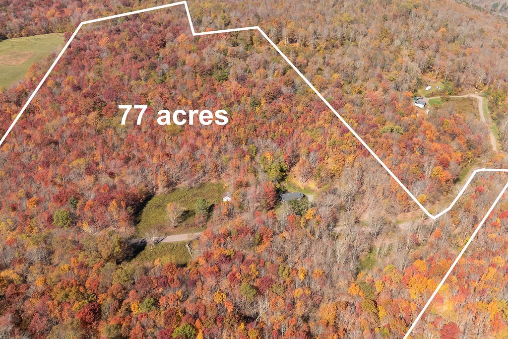 3199 Coulter Brook Road Bovina, NY 13740 - Photo 13 of 50