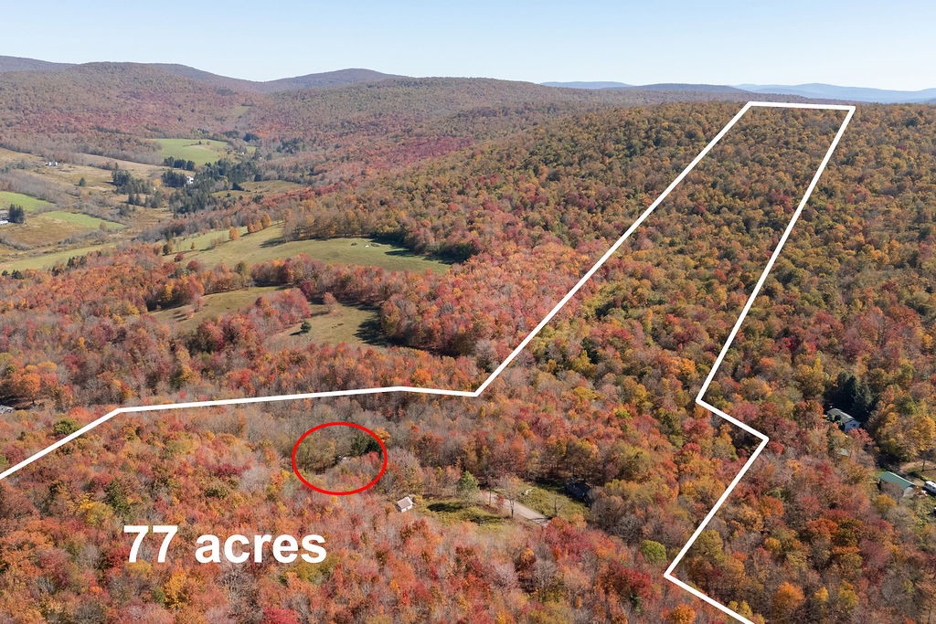 3199 Coulter Brook Road Bovina, NY 13740 - Photo 8 of 50