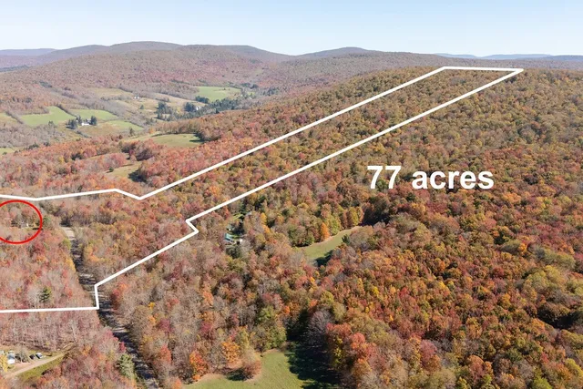 $549,000 | 3199 Coulter Brook Road, Bovina, NY 13740