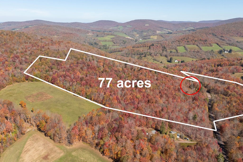 3199 Coulter Brook Road Bovina, NY 13740 - Photo 10 of 50