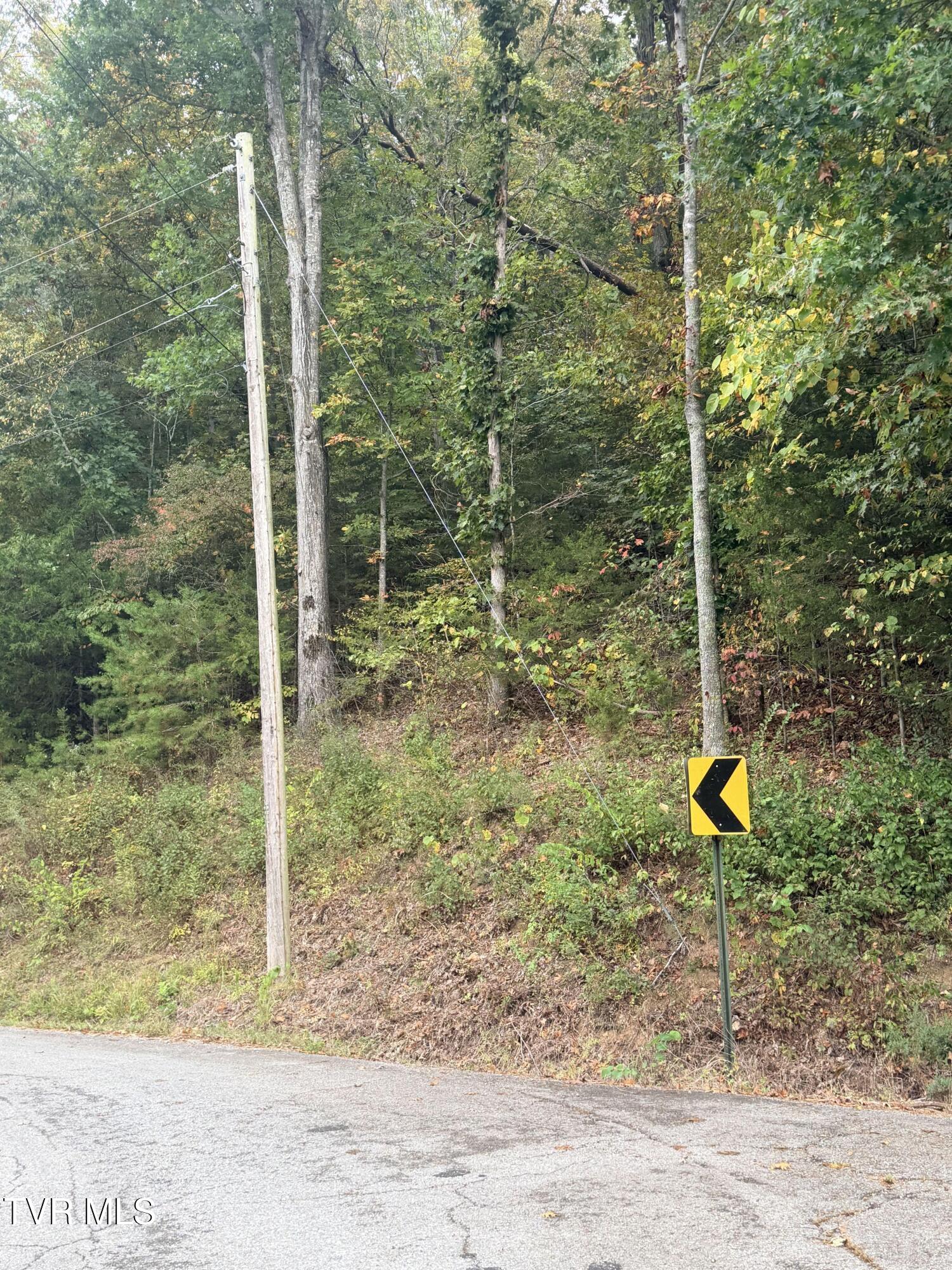 Lot 8 Little Chuckey Road, Unit 8 Mosheim, TN 37818 - Photo 1 of 1 IMG_6451_converted