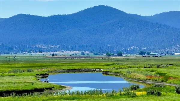 a view of a lush green hillside and an houses
