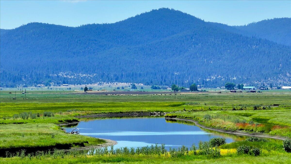 0 Punkin Center Road Bieber, CA 96009 - Photo 11 of 56 a view of an outdoor space and a yard