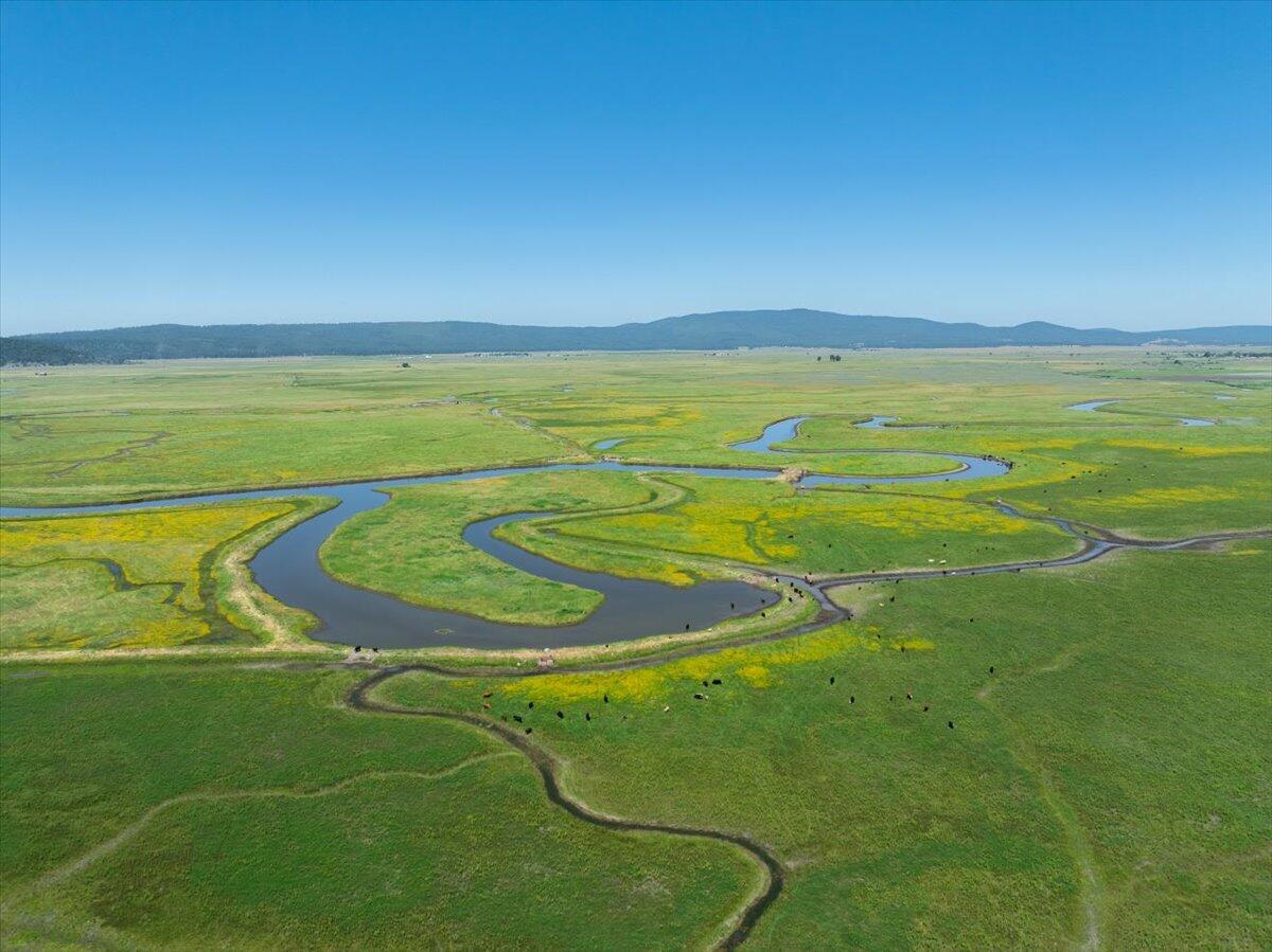0 Punkin Center Road Bieber, CA 96009 - Photo 15 of 56 a view of an ocean and beach
