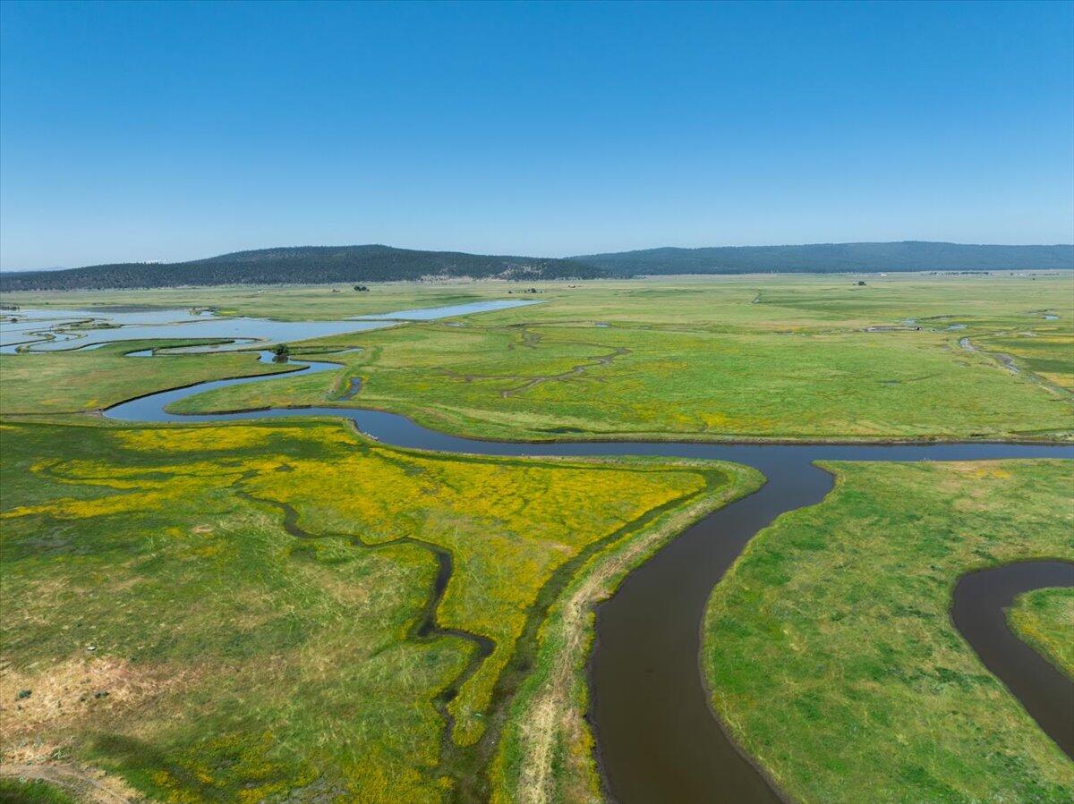 0 Punkin Center Road Bieber, CA 96009 - Photo 17 of 56 a view of a swimming pool with an outdoor seating and yard