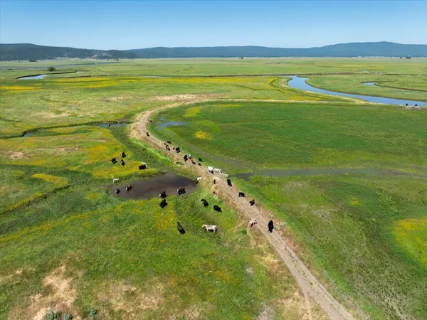 a view of an outdoor space and swimming pool