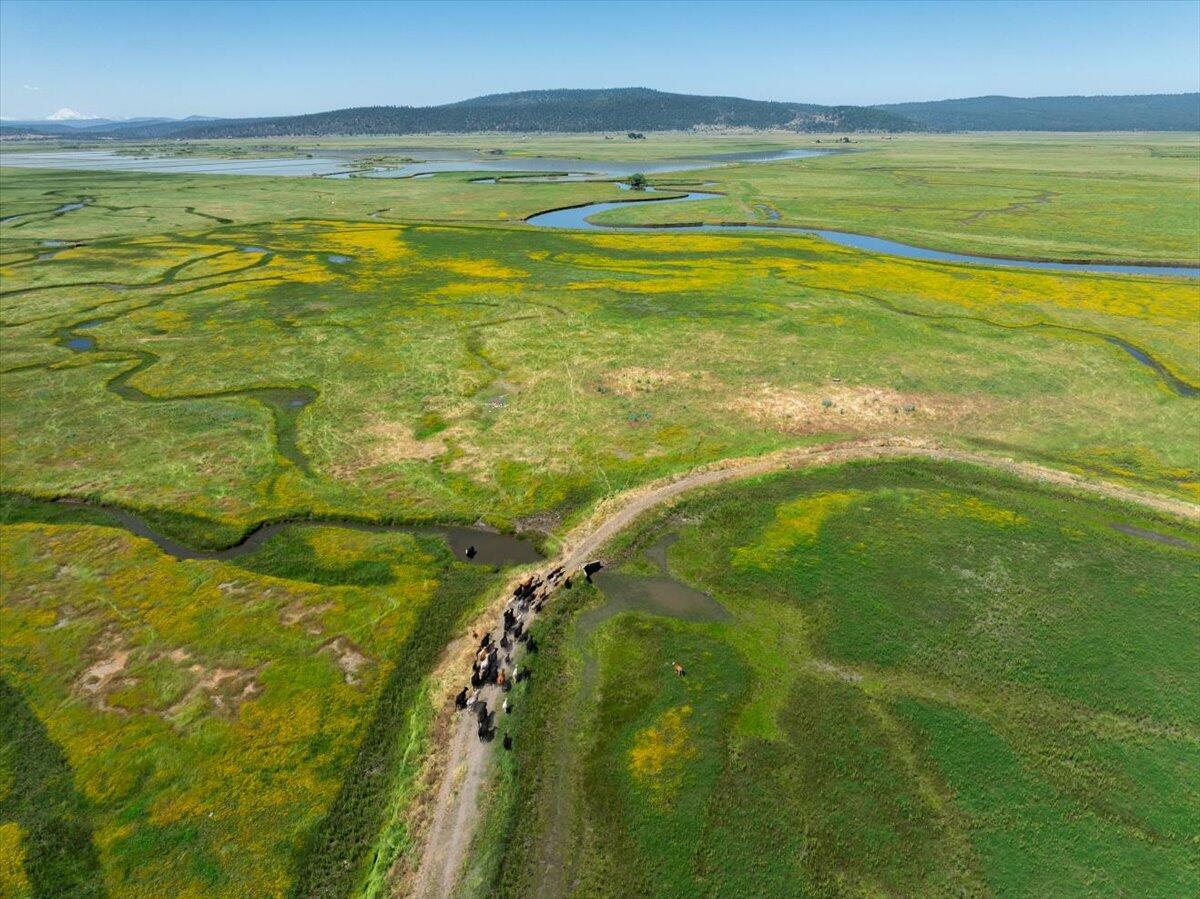 0 Punkin Center Road Bieber, CA 96009 - Photo 19 of 56 a view of an ocean from a balcony