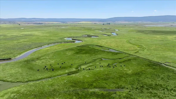 a view of an ocean and beach