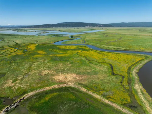 a view of a lake with a beach