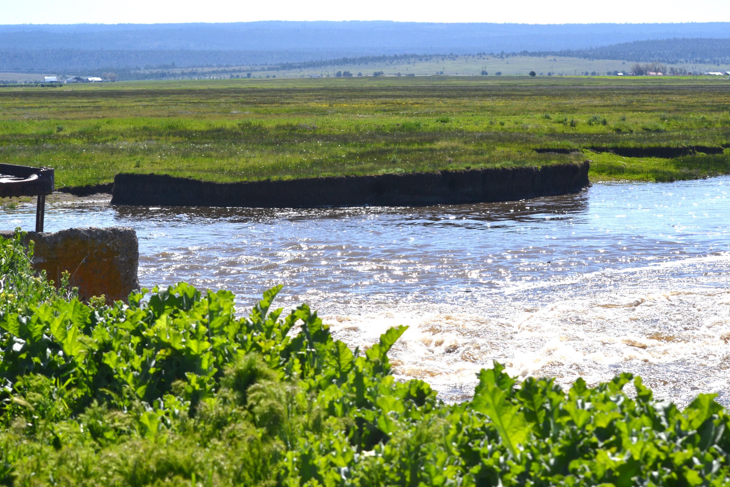 0 Punkin Center Road Bieber, CA 96009 - Photo 24 of 56 a view of a lake with a beach
