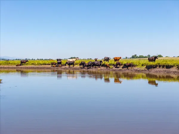 a view of an indoor swimming pool