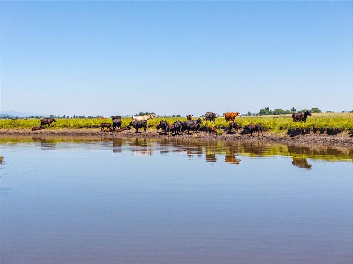 0 Punkin Center Road Bieber, CA 96009 - Photo 25 of 56 a view of ocean view