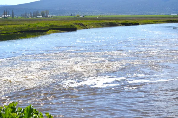 a view of a lake with a houses