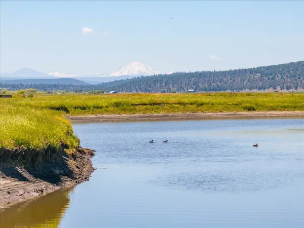 a view of a house with a yard and a large tree