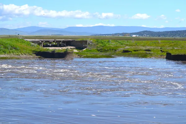 a view of a backyard with lawn chairs and wooden fence