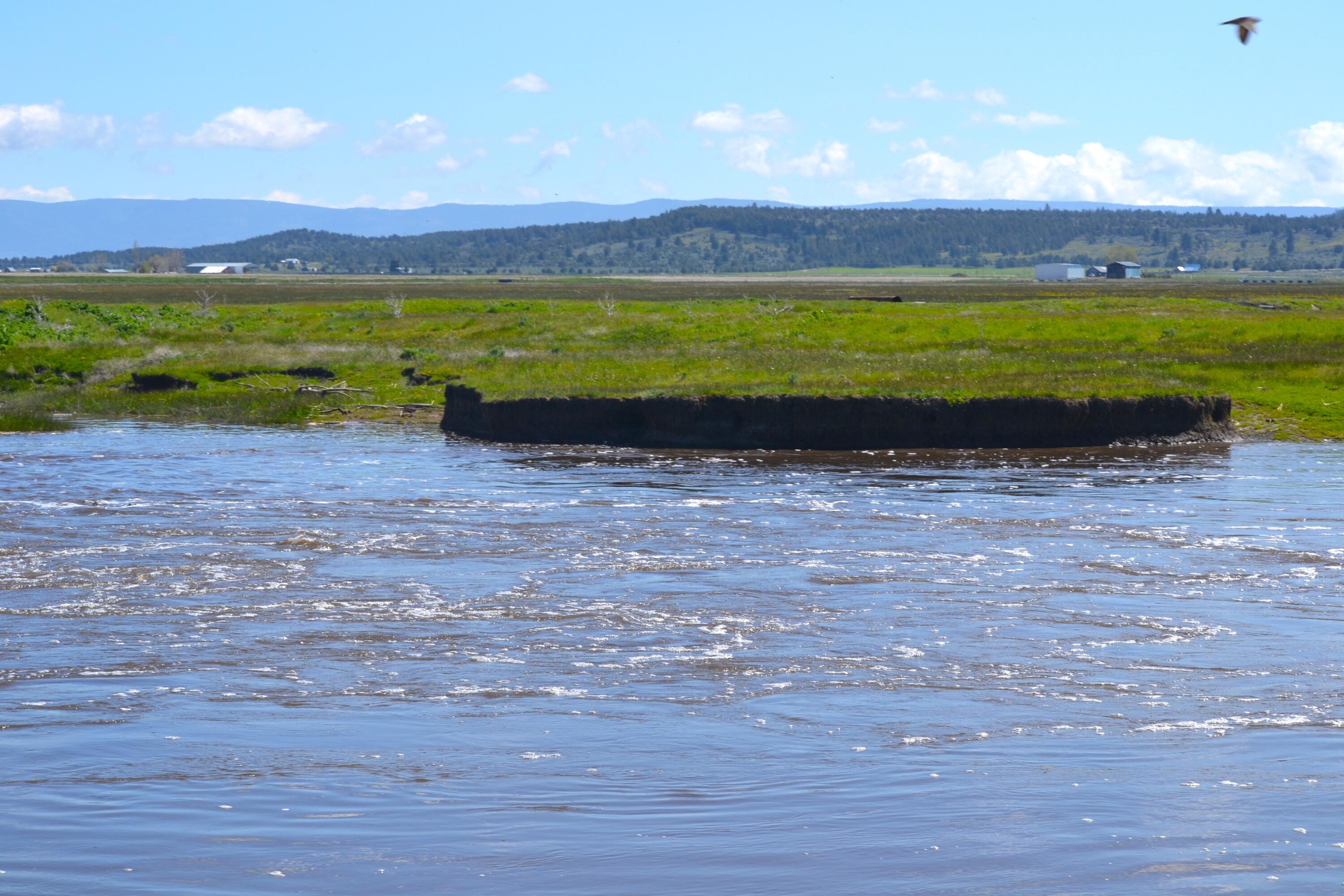 0 Punkin Center Road Bieber, CA 96009 - Photo 32 of 56 a view of an outdoor space and a yard