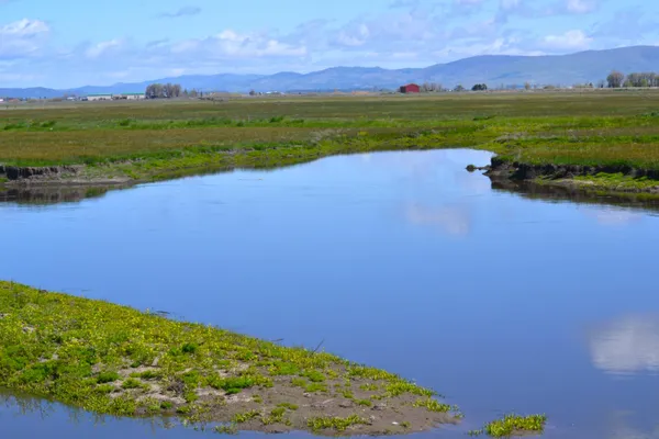 a view of an ocean and beach