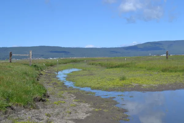a view of an ocean and beach
