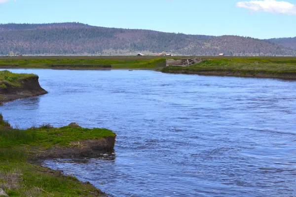 a view of an house with a yard