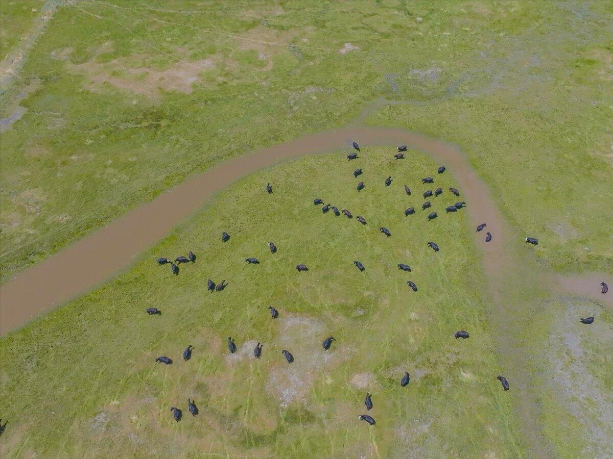 0 Punkin Center Road Bieber, CA 96009 - Photo 38 of 56 10