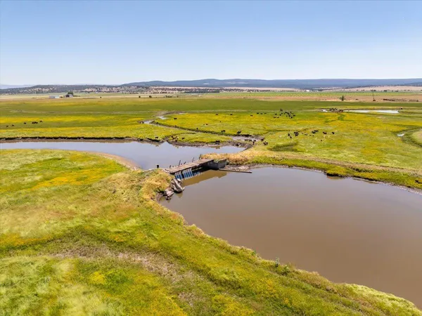a view of an ocean and beach