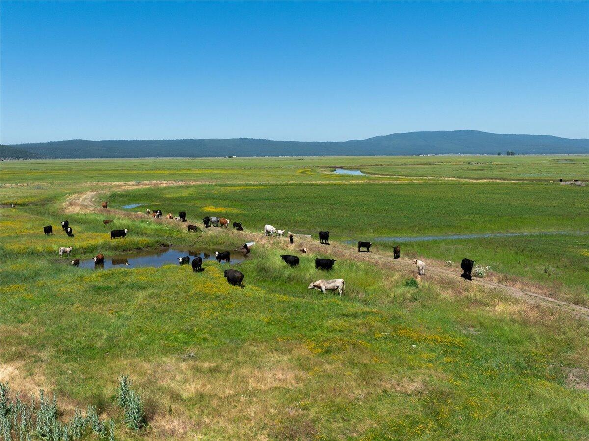 0 Punkin Center Road Bieber, CA 96009 - Photo 4 of 56 a view of a field with an ocean