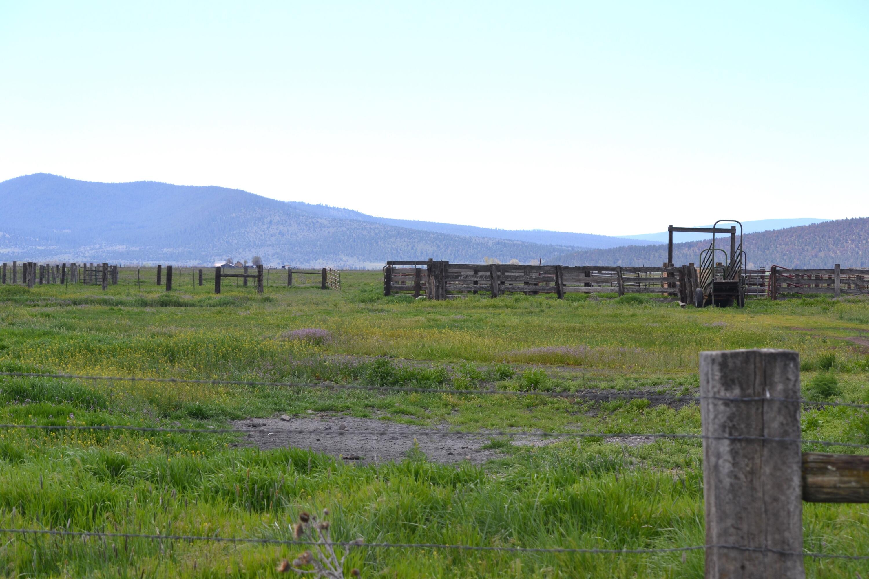 0 Punkin Center Road Bieber, CA 96009 - Photo 41 of 56 a view of an house with a yard