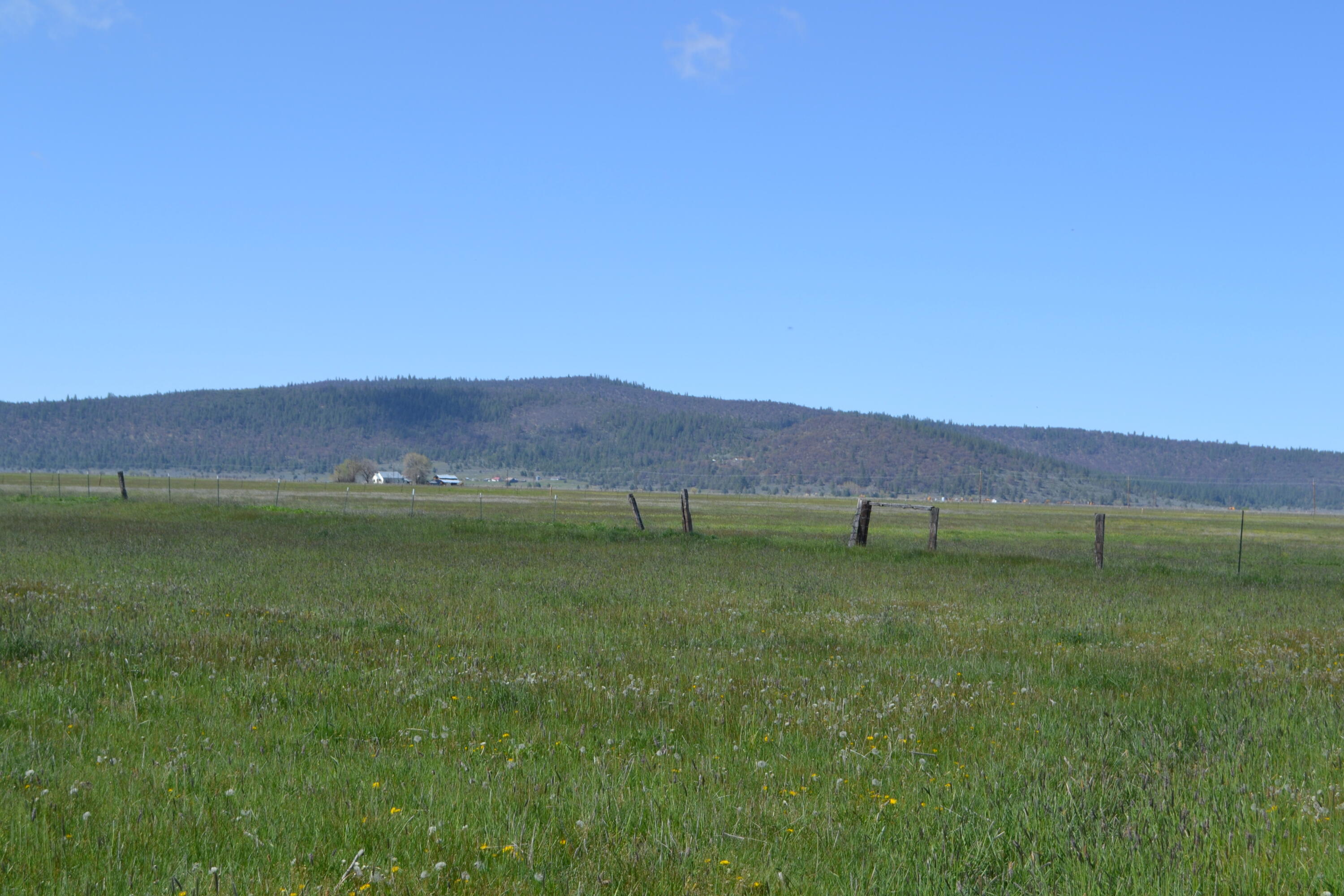 0 Punkin Center Road Bieber, CA 96009 - Photo 42 of 56 a view of a lush green field