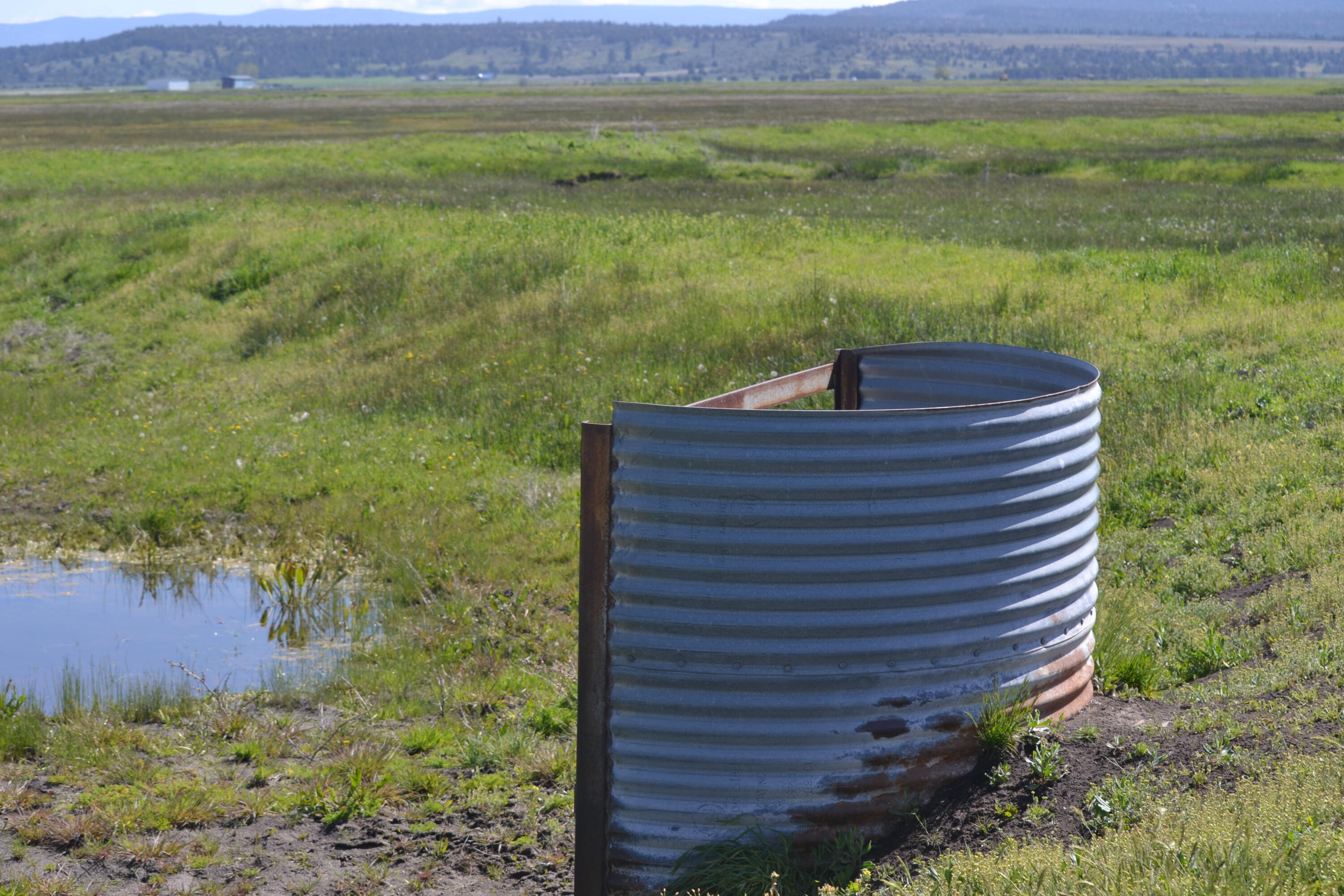 0 Punkin Center Road Bieber, CA 96009 - Photo 44 of 56 a view of a lake with a yard