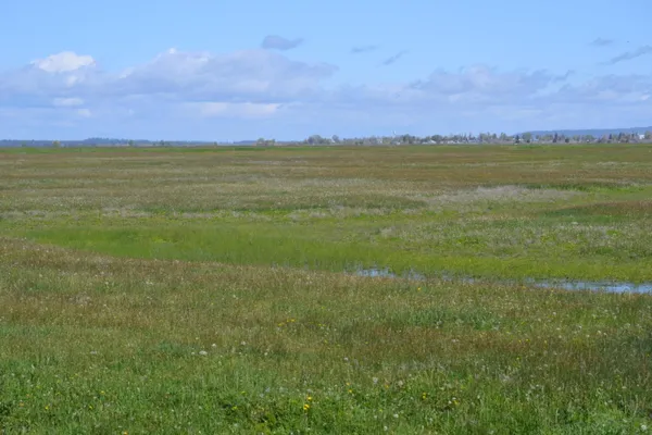 a view of an ocean and beach