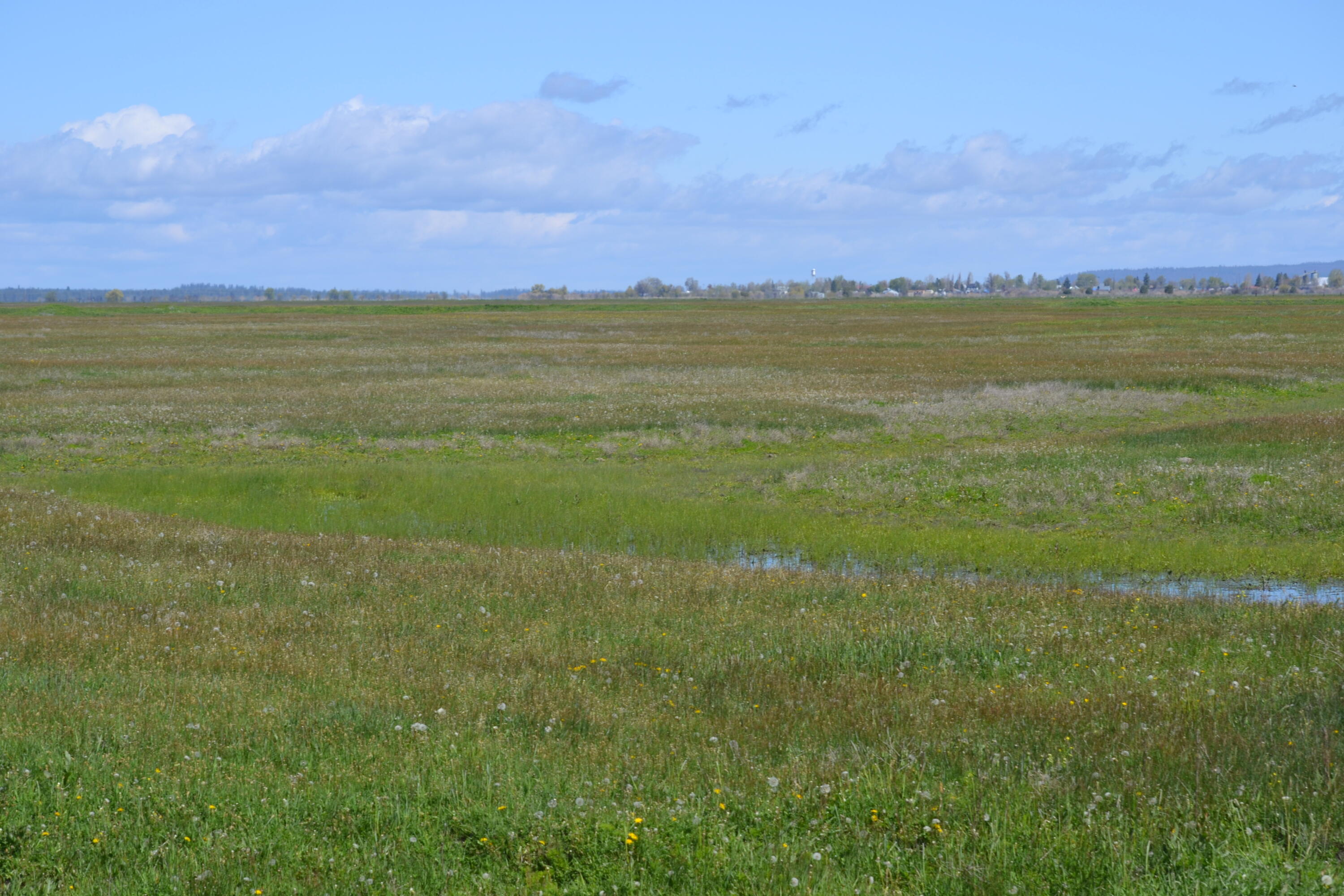 0 Punkin Center Road Bieber, CA 96009 - Photo 45 of 56 a view of an ocean and beach