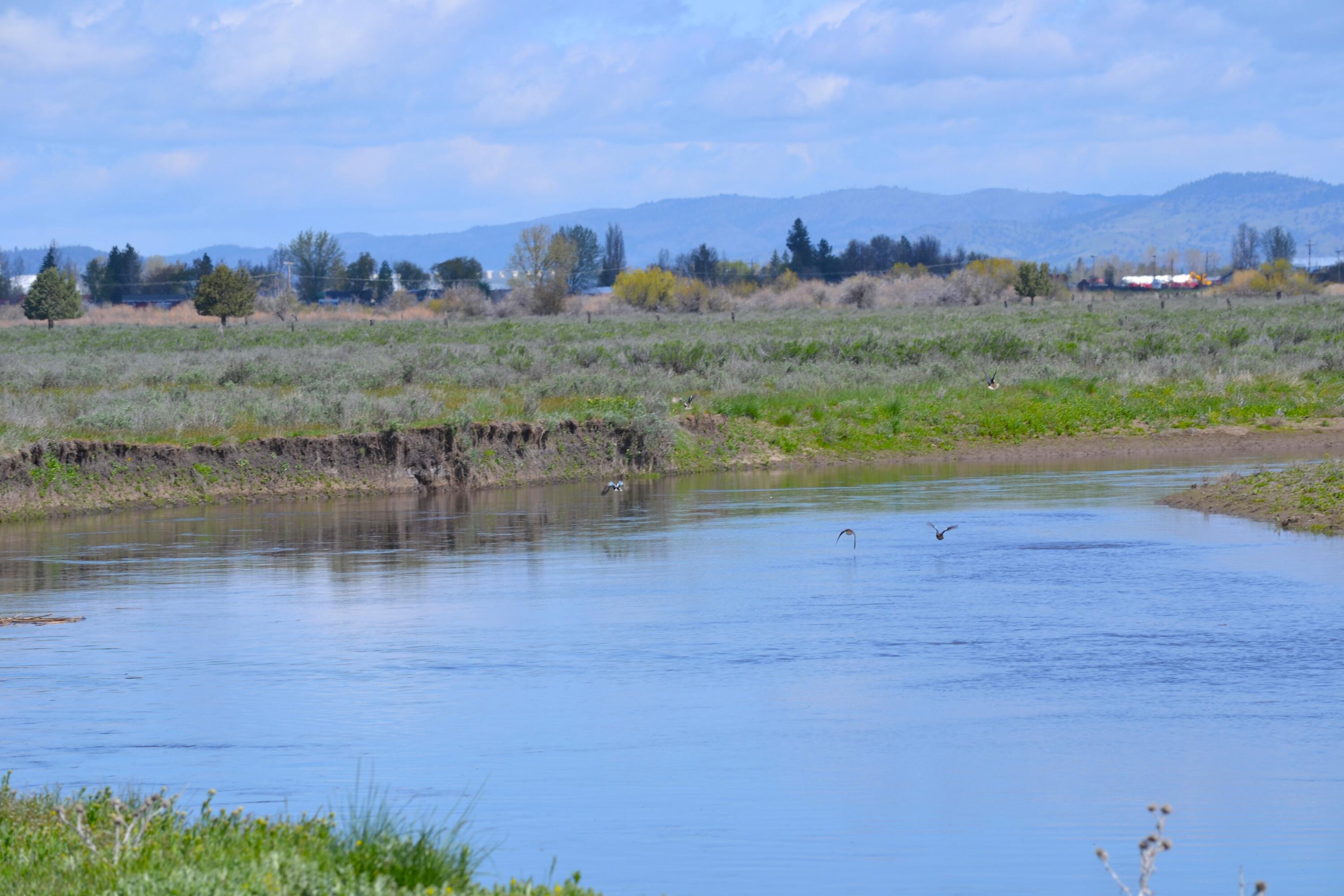0 Punkin Center Road Bieber, CA 96009 - Photo 47 of 56 a view of a lake with a mountain