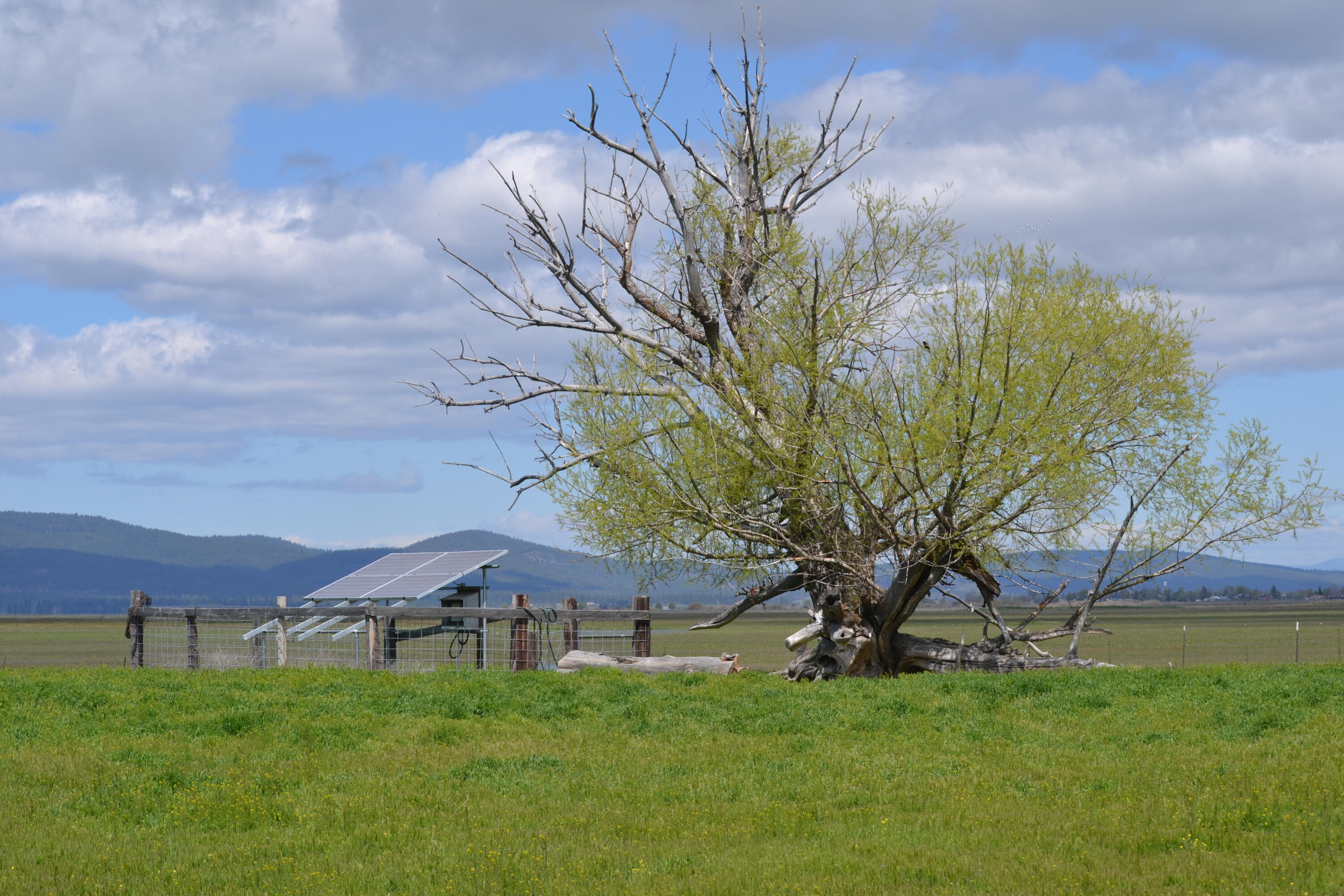 0 Punkin Center Road Bieber, CA 96009 - Photo 49 of 56 a backyard of a house with lots of green space