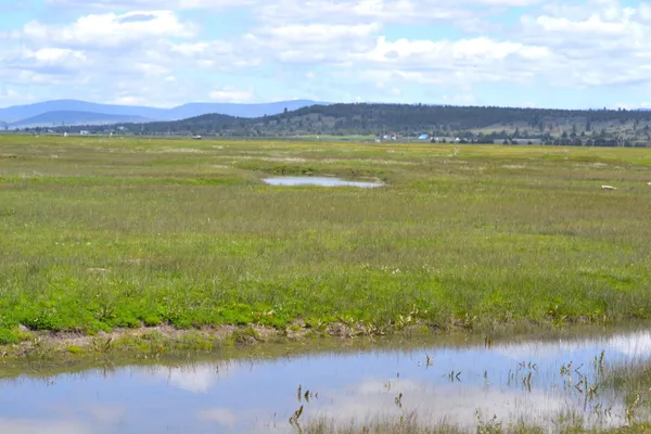 a backyard of a house with lots of green space