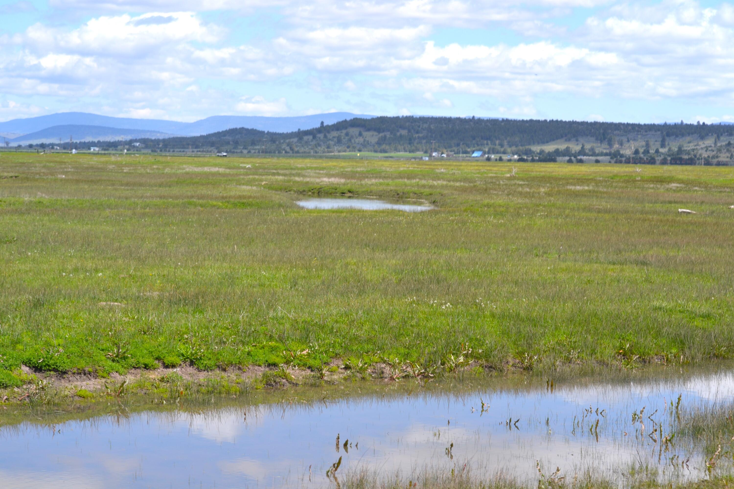 0 Punkin Center Road Bieber, CA 96009 - Photo 50 of 56 a view of an ocean and a mountain