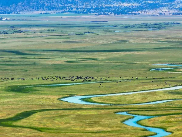 a view of a lush green field