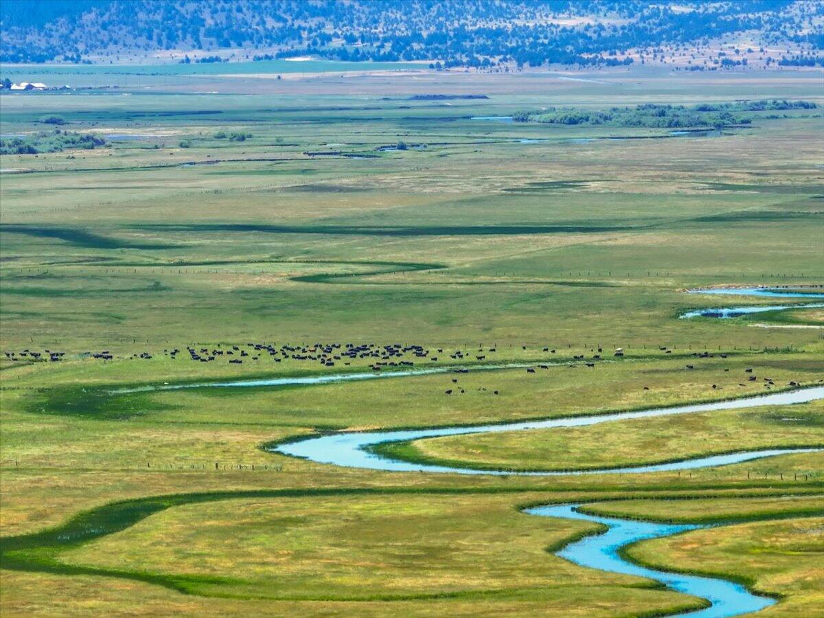 0 Punkin Center Road Bieber, CA 96009 - Photo 5 of 56 a view of a swimming pool with a yard