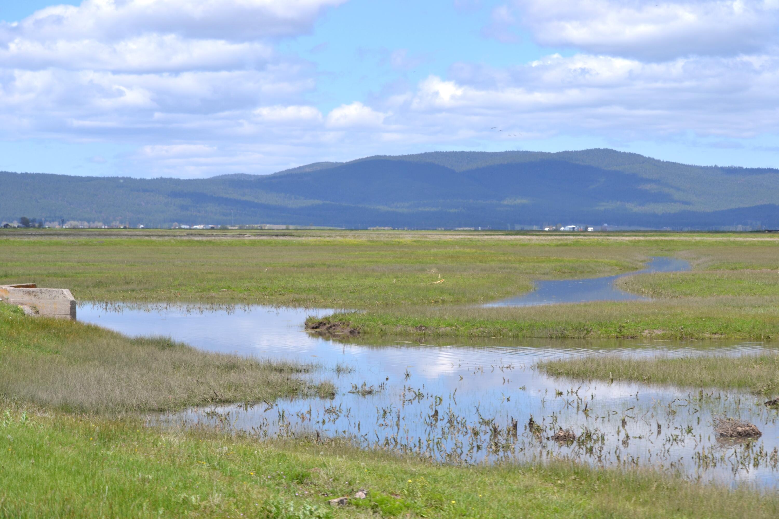0 Punkin Center Road Bieber, CA 96009 - Photo 51 of 56 a view of an ocean and beach